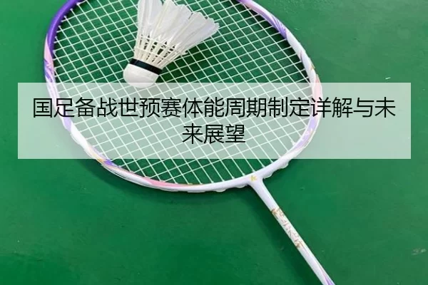 国足备战世预赛体能周期制定详解与未来展望